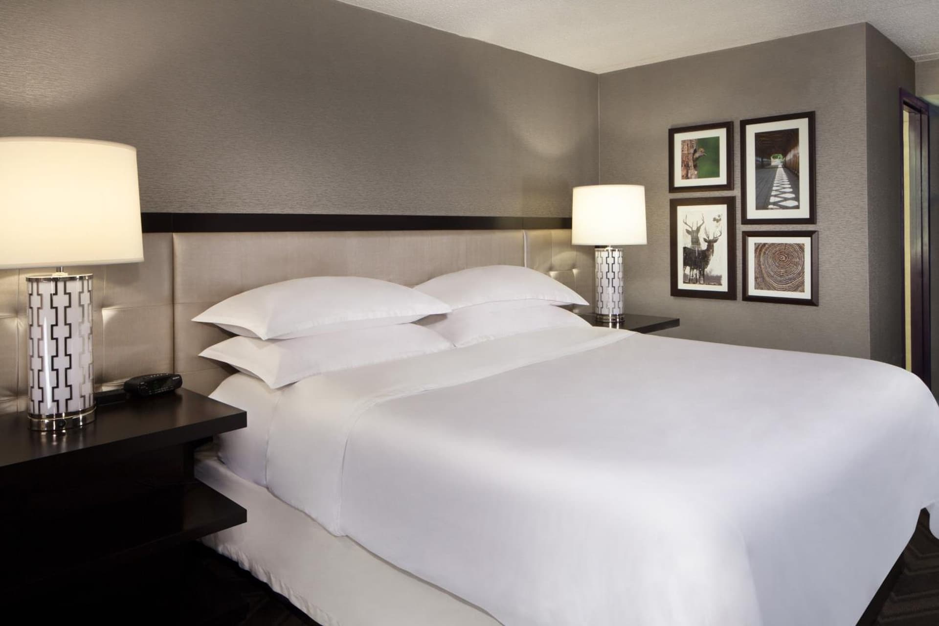 Sheraton Bucks County Langhorne gallery photo in Langhorne, PA — image 52