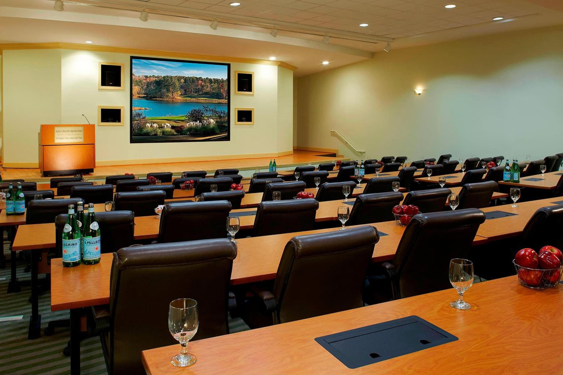Auburn Marriott Opelika Resort & Spa at Grand National gallery photo in Opelika, AL — image 34