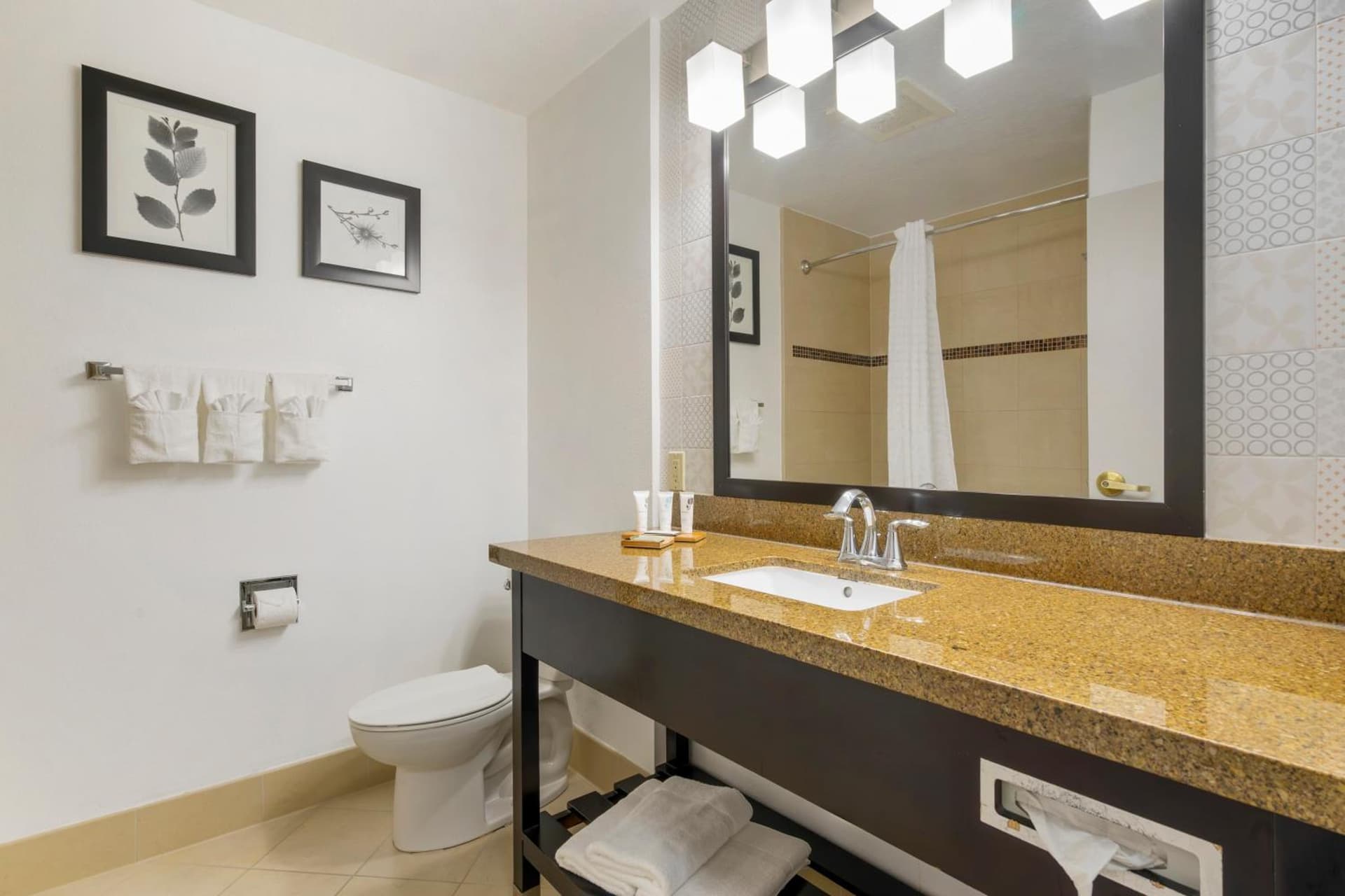 Country Inn & Suites by Radisson, Tampa Airport North, FL gallery photo in Tampa, FL — image 51