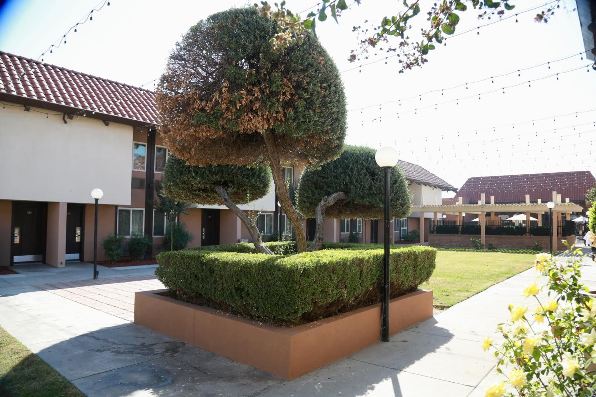 Ramada by Wyndham Fresno North gallery photo in Fresno, CA — image 69