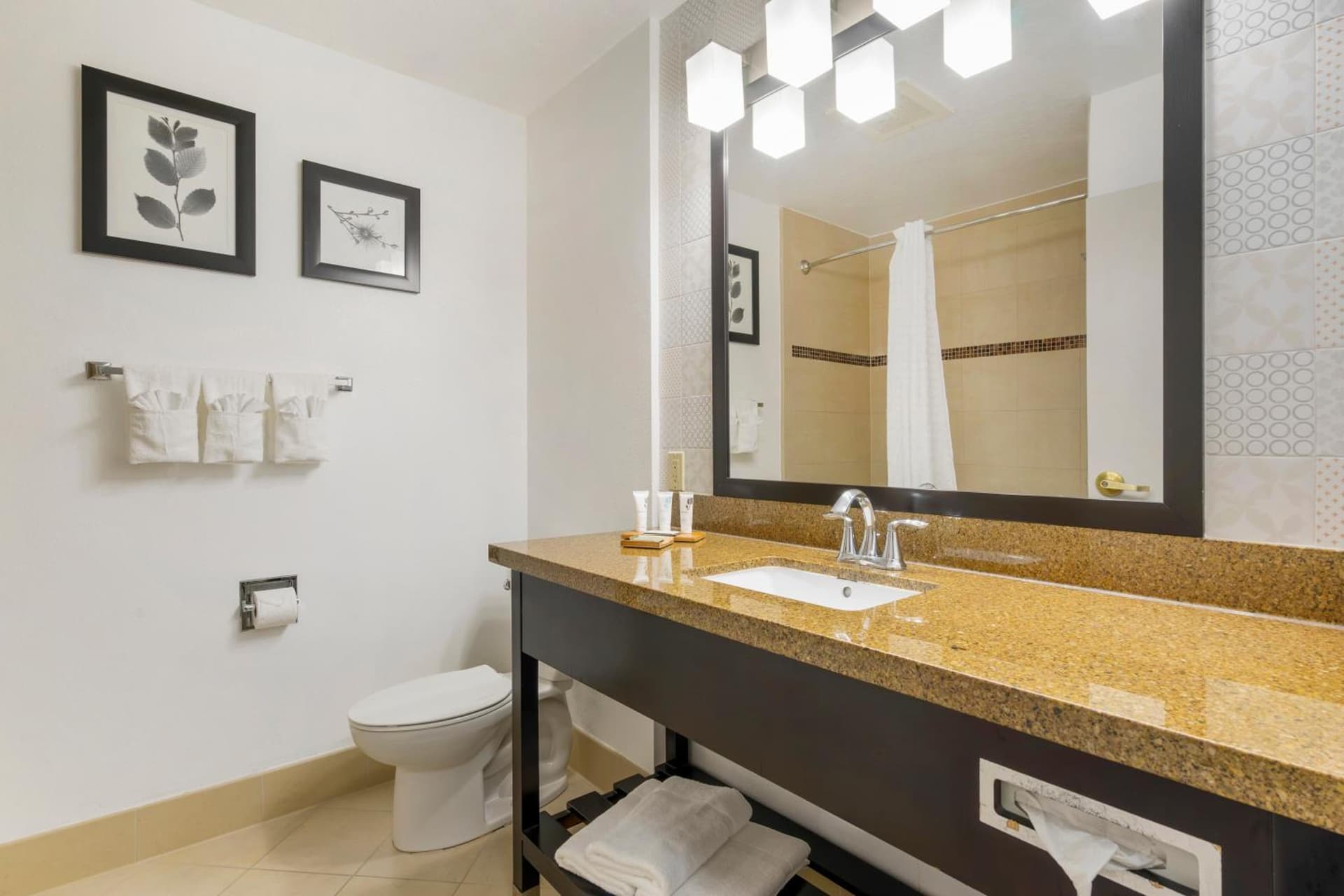 Country Inn & Suites by Radisson, Tampa Airport North, FL gallery photo in Tampa, FL — image 25