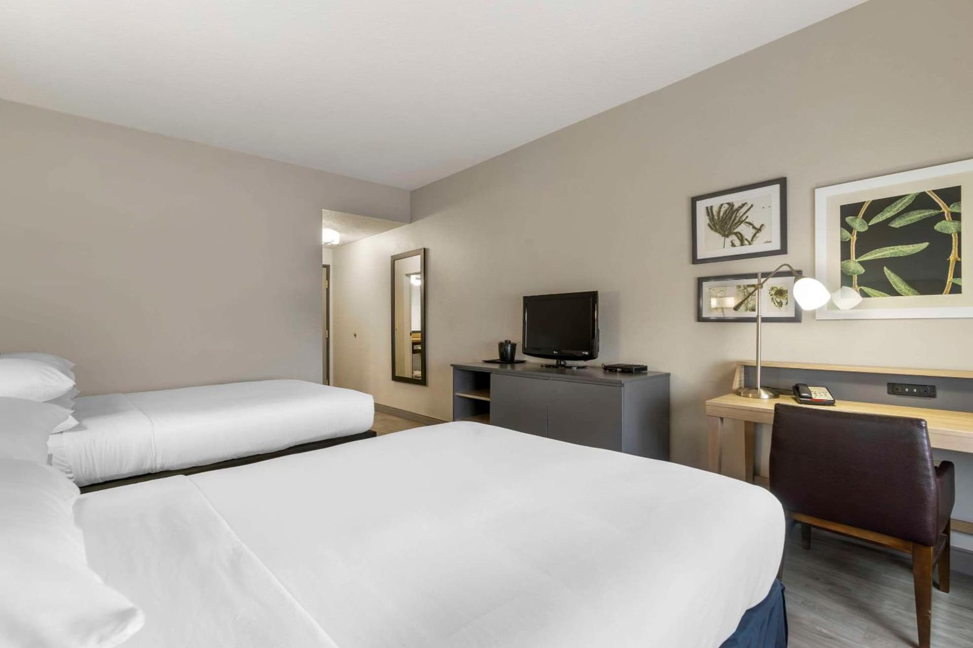 Country Inn & Suites by Radisson, Tampa Airport North, FL gallery photo in Tampa, FL — image 20