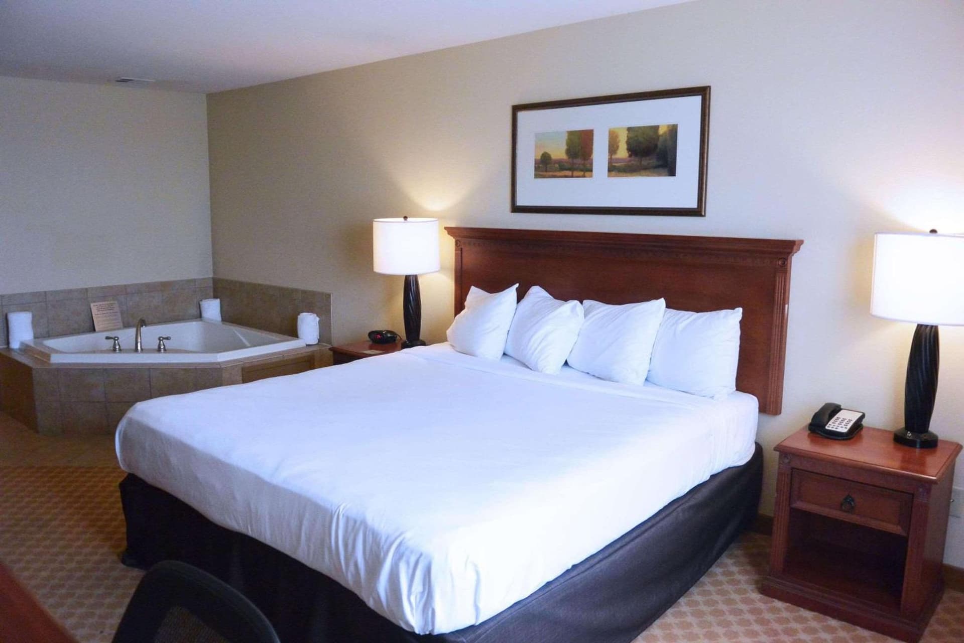 Country Inn & Suites by Radisson, Peoria North, IL gallery photo in Peoria, IL — image 33
