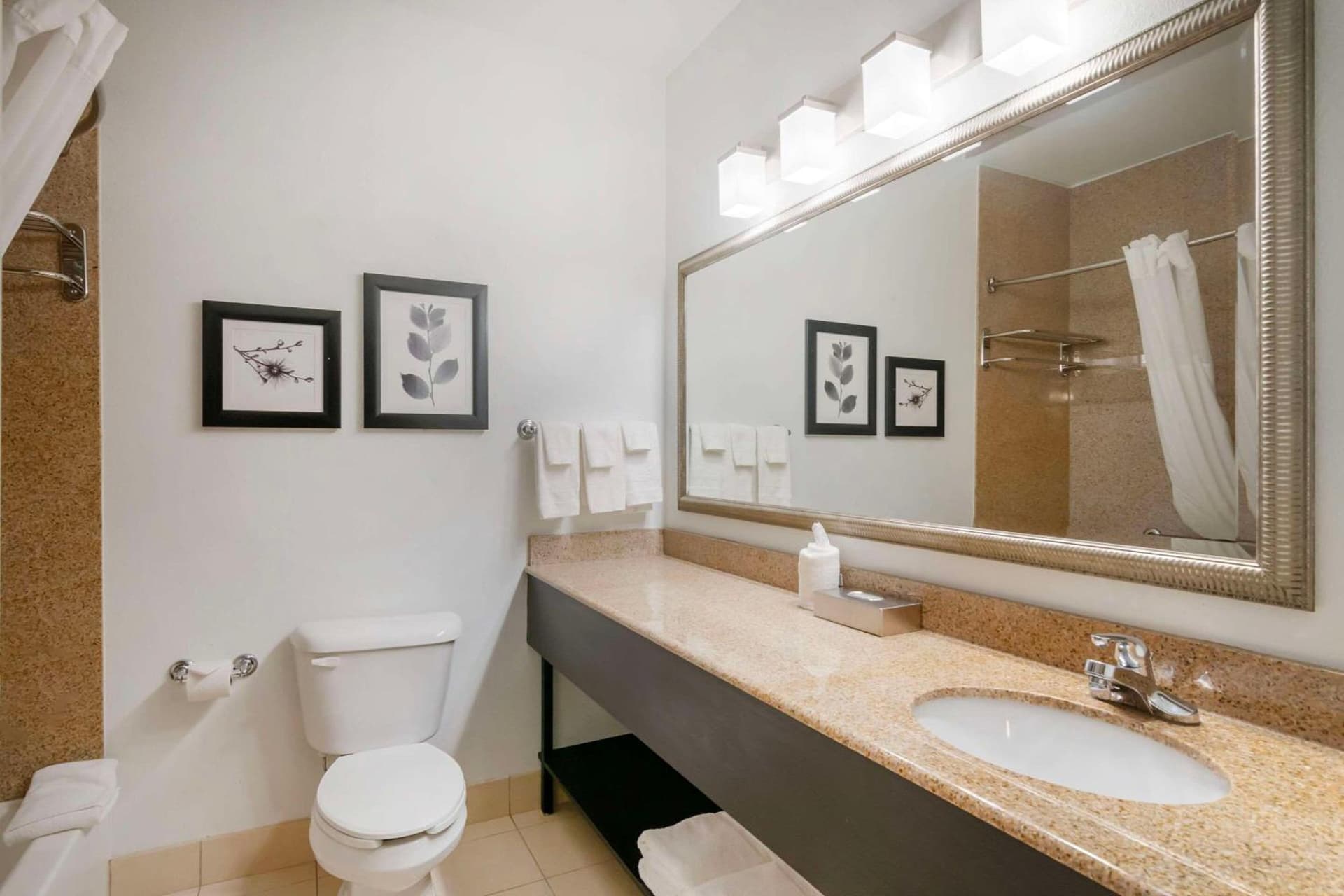 Country Inn & Suites by Radisson, Columbia, MO gallery photo in Columbia, MO — image 15