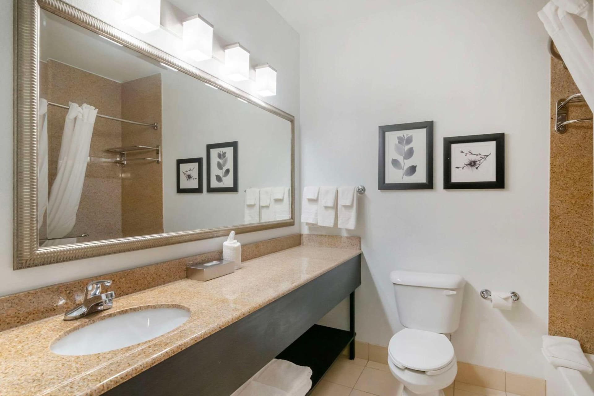 Country Inn & Suites by Radisson, Columbia, MO gallery photo in Columbia, MO — image 23