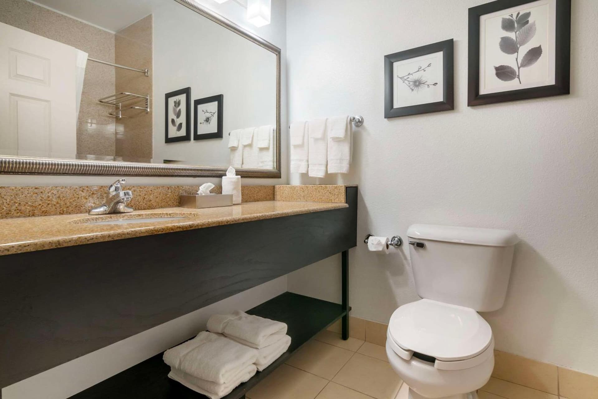 Country Inn & Suites by Radisson, Columbia, MO gallery photo in Columbia, MO — image 33
