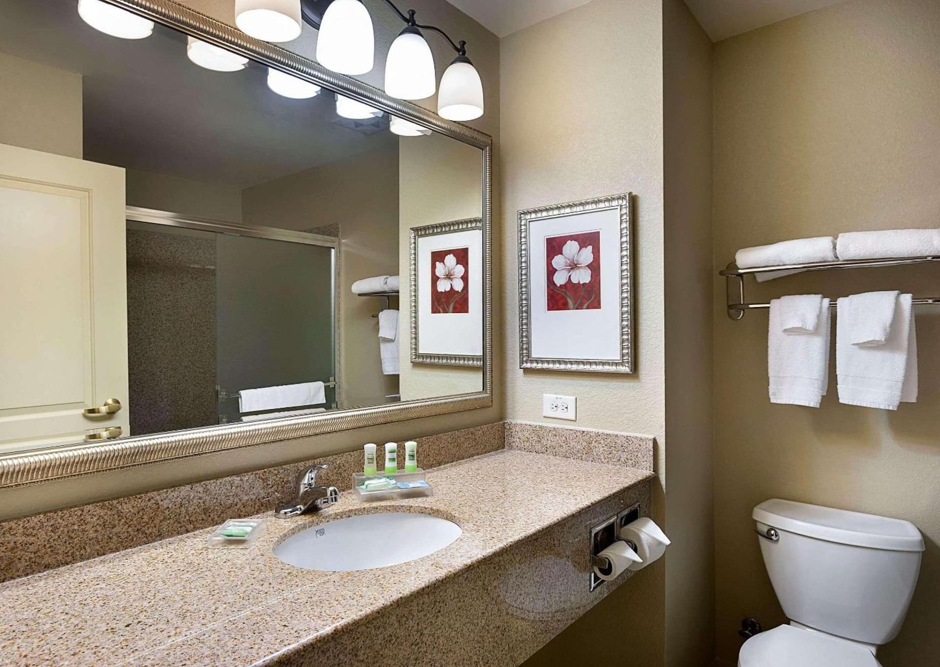Comfort Inn & Suites Concord - Kannapolis gallery photo in Concord, NC — image 7
