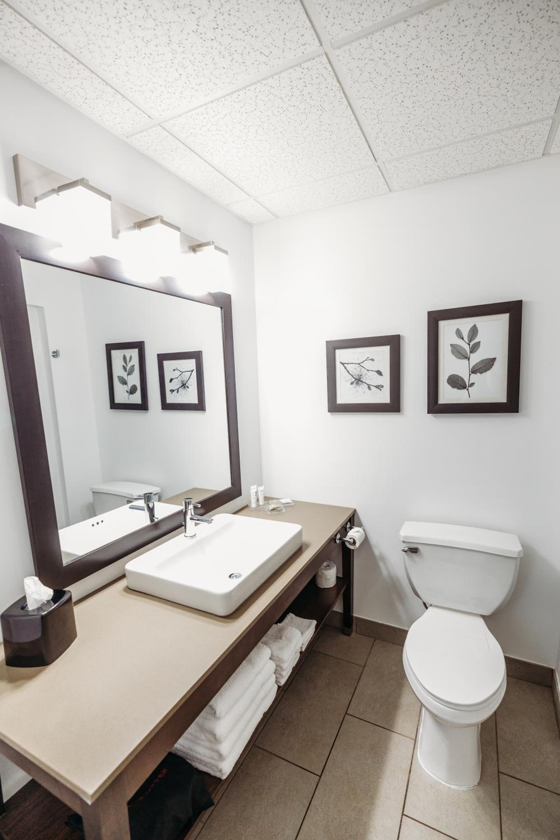 Parkview Inn & Suites, Lancaster Amish Country, PA gallery photo in Lancaster, PA — image 59