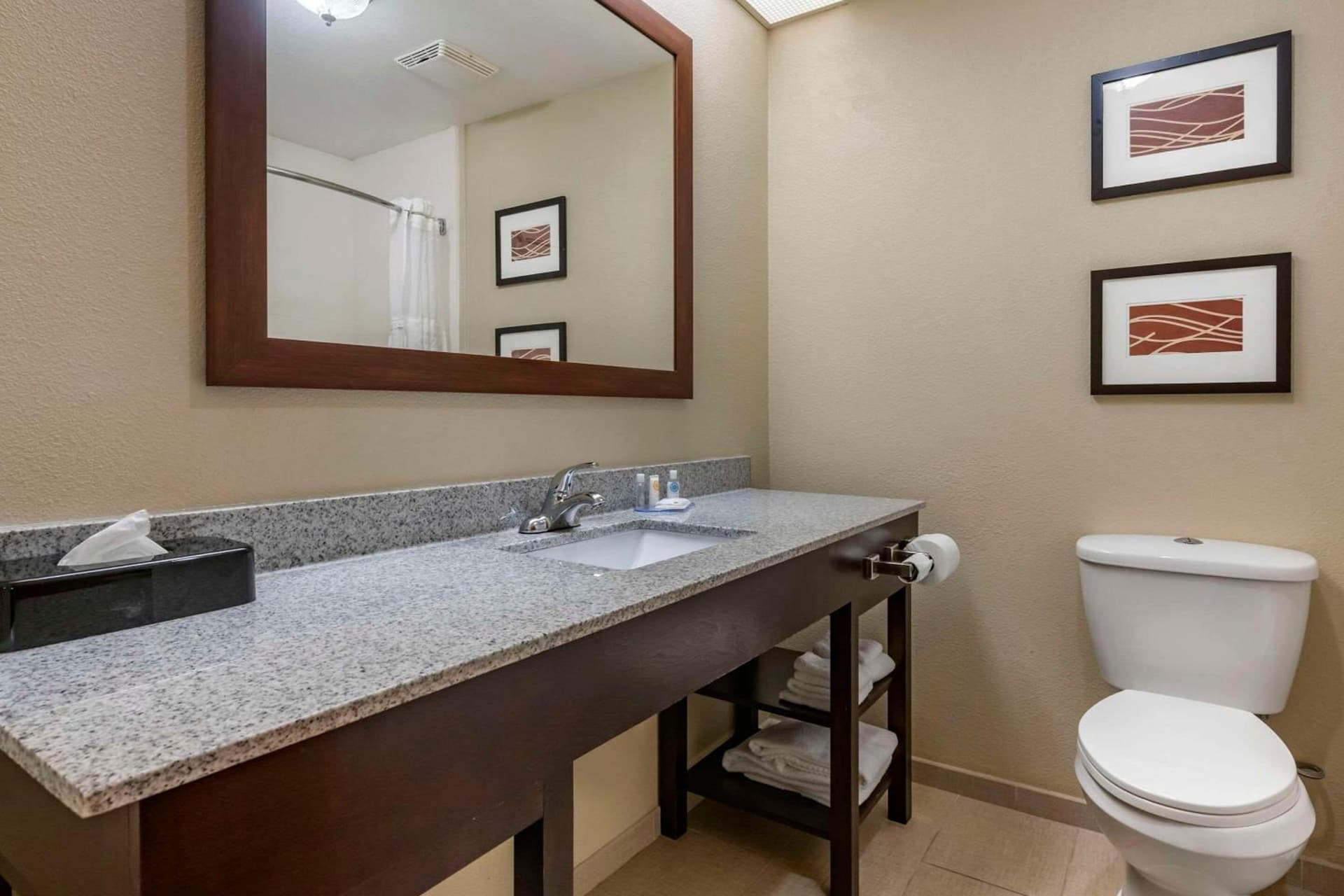 Comfort Inn & Suites DeLand - near University gallery photo in DeLand, FL — image 27