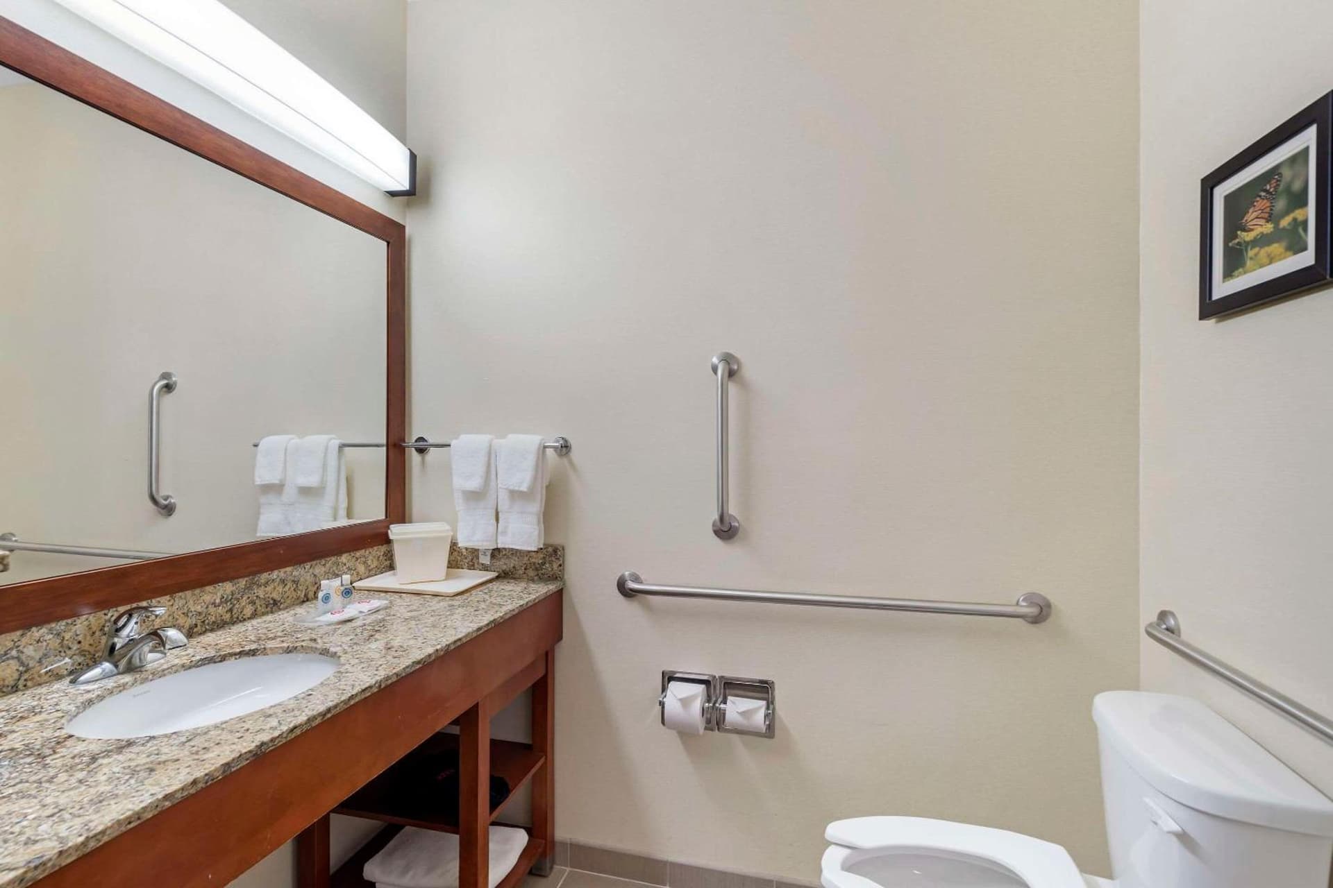 Comfort Suites Normal University area gallery photo in Bloomington, IL — image 12