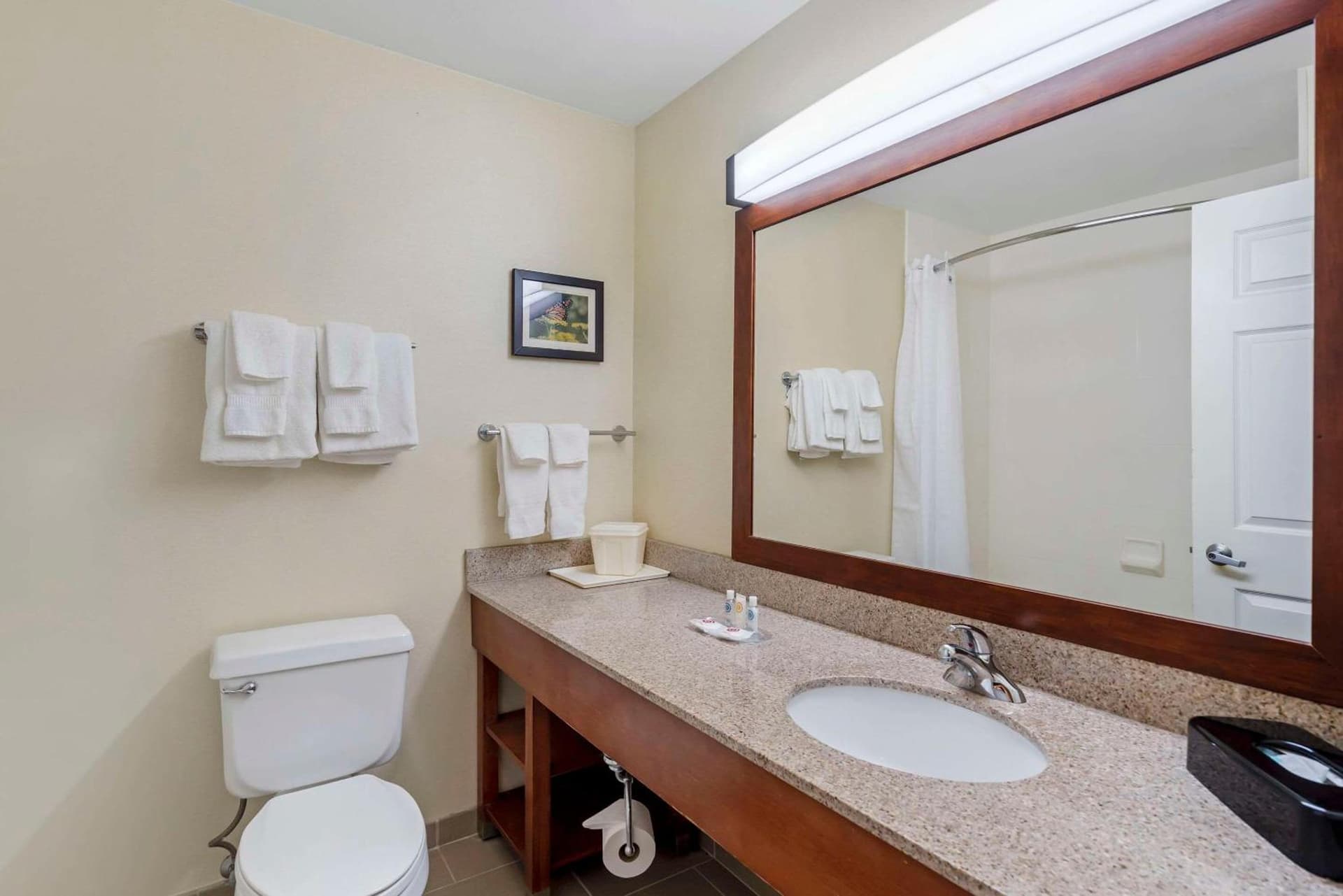 Comfort Suites Normal University area gallery photo in Bloomington, IL — image 6