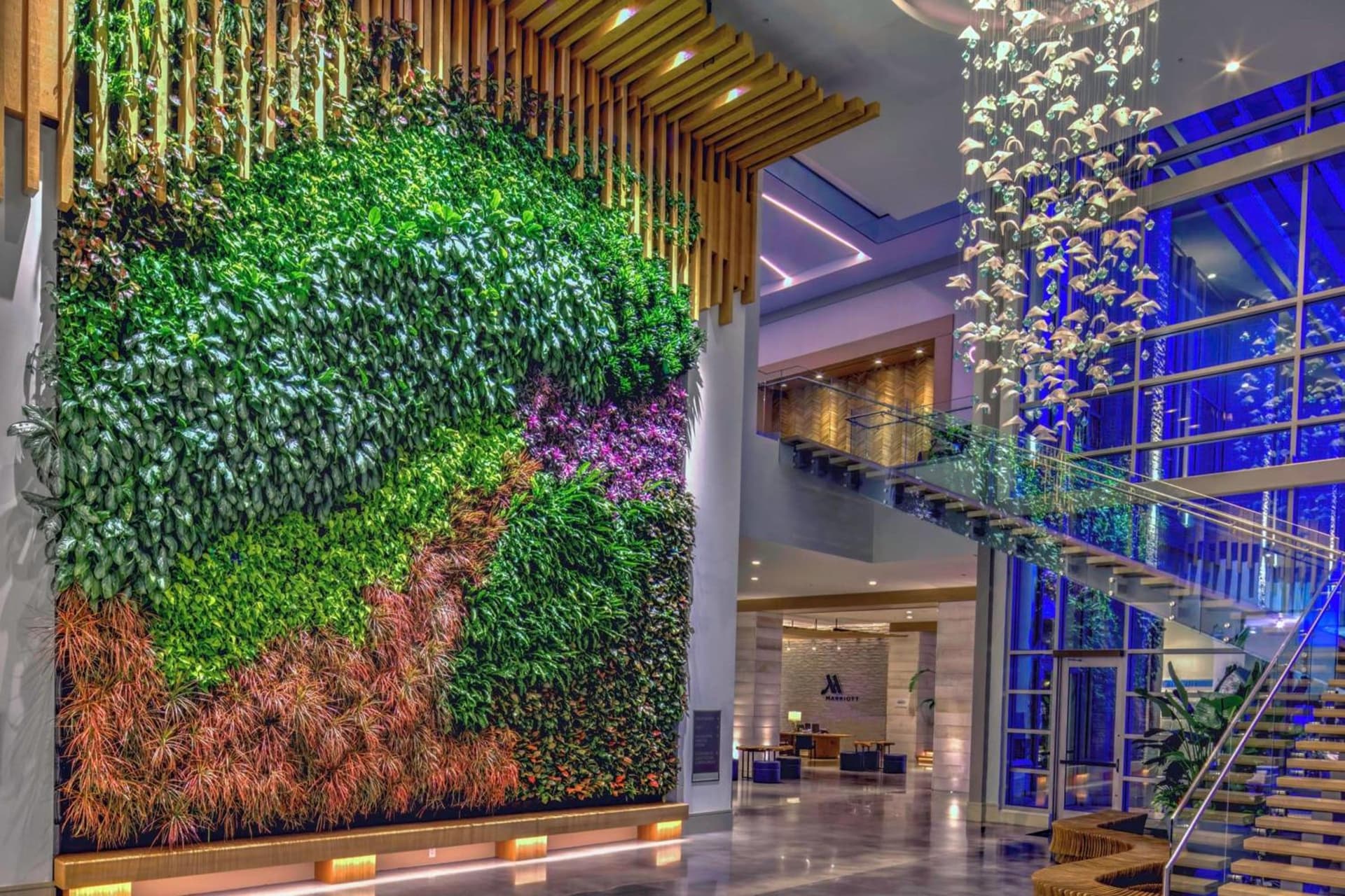 Marriott Virginia Beach Oceanfront Resort gallery photo in Virginia Beach, VA — image 12