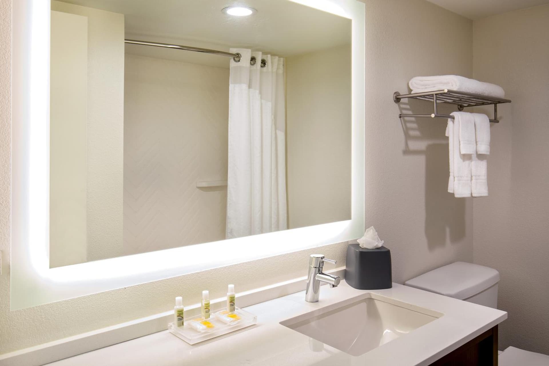 Holiday Inn Newport News - Hampton by IHG gallery photo in Newport News, VA — image 9