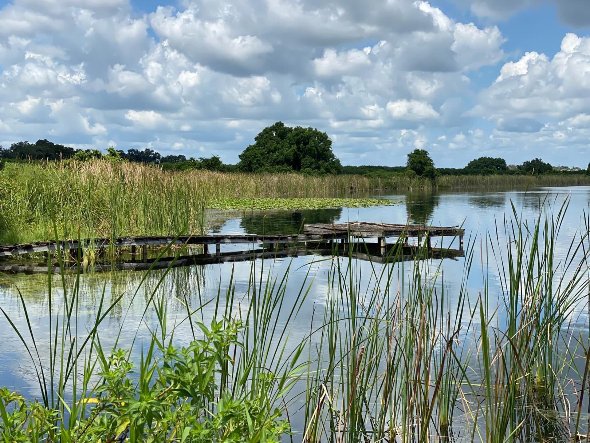 The Tatman Evergreen Suite gallery photo in Lake Alfred, FL — image 6