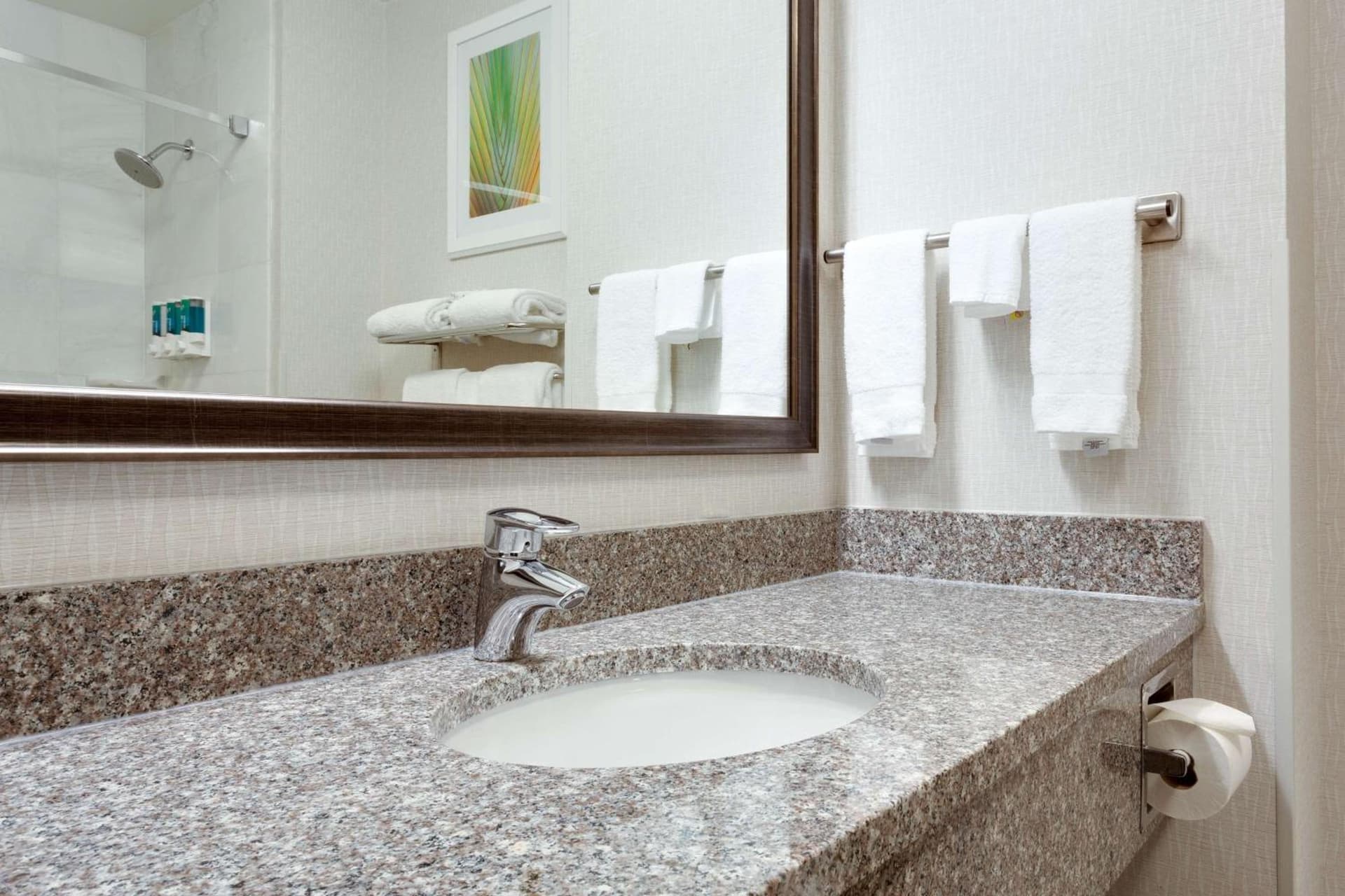 Drury Inn & Suites Greenville property views in Greenville, SC — gallery photo 3