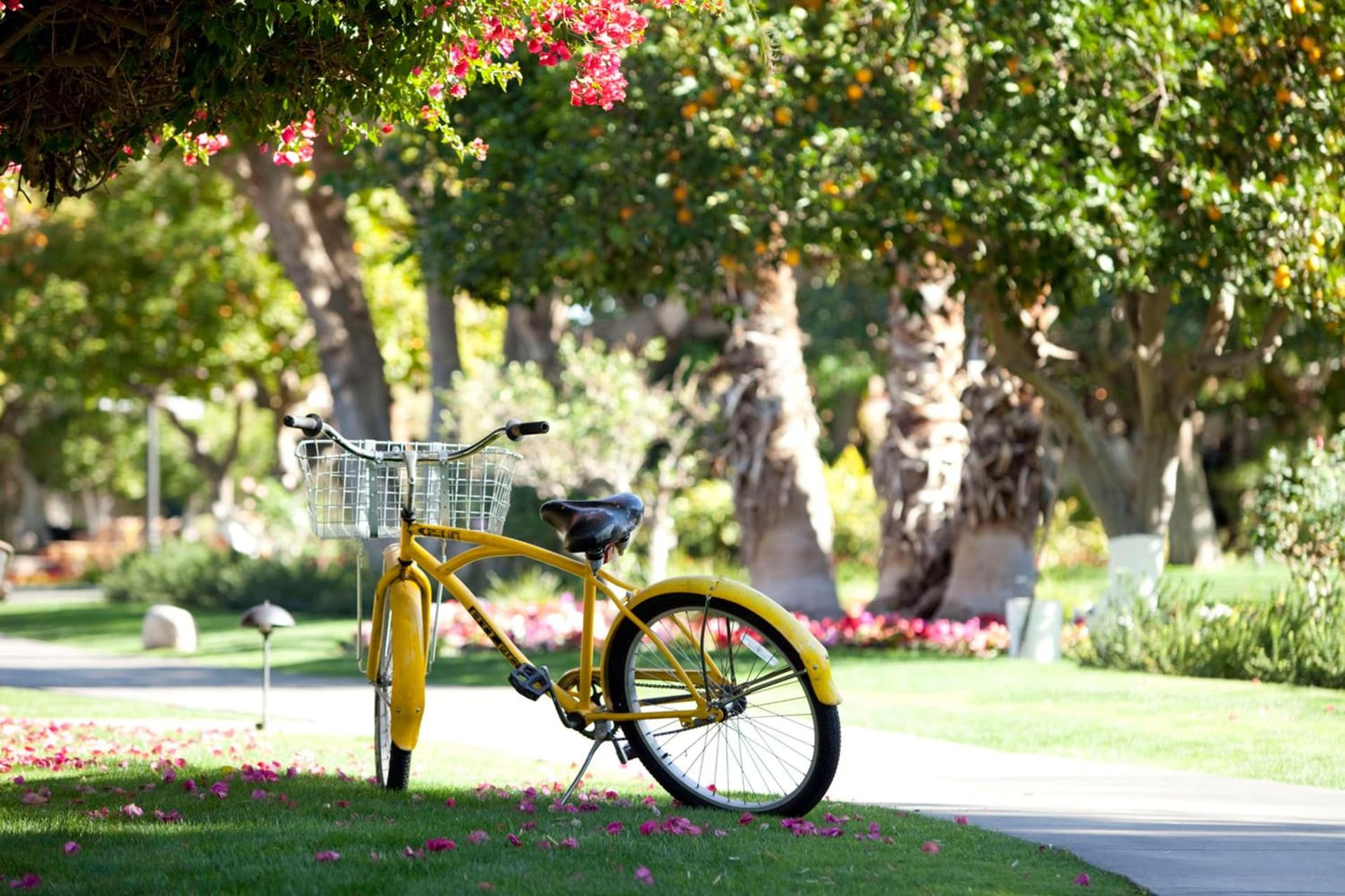 La Quinta Resort & Club gallery photo in La Quinta, CA — image 32