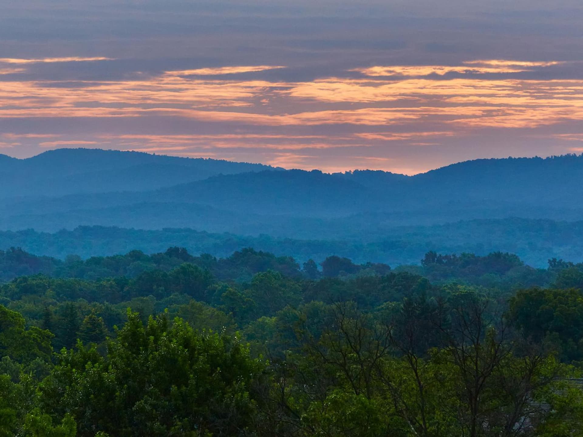Graduate by Hilton Charlottesville gallery photo in Charlottesville, VA — image 86