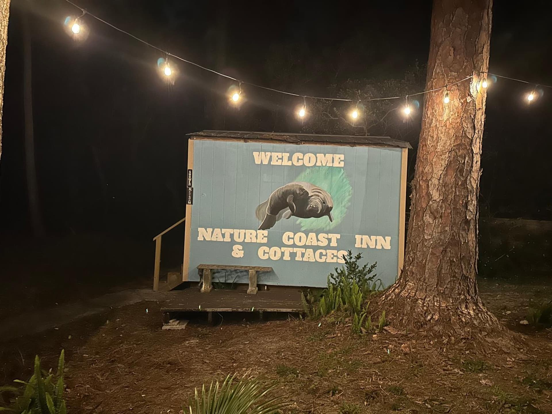 Nature Coast Inn & Cottages gallery photo in Inglis, FL — image 174