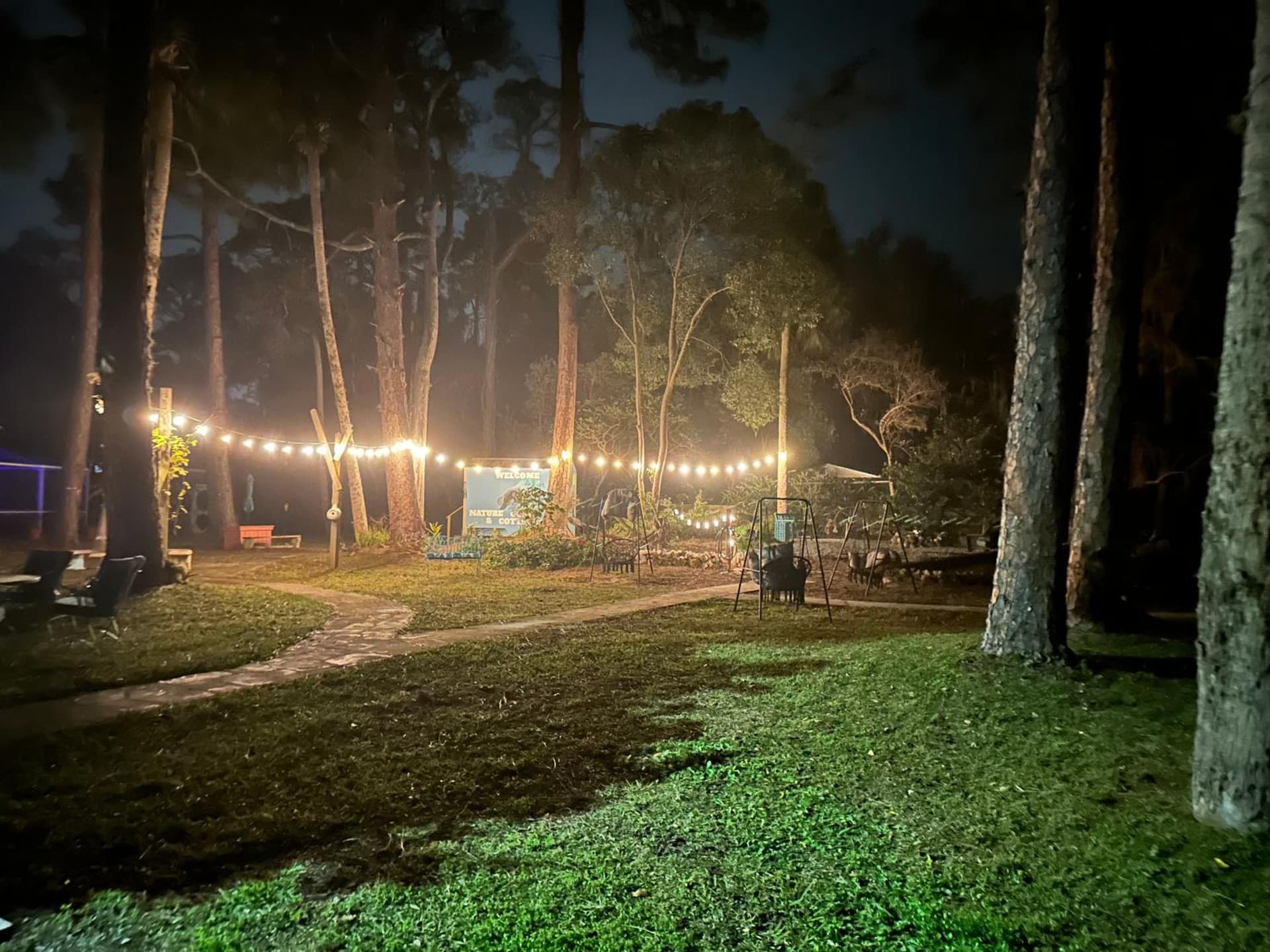 Nature Coast Inn & Cottages gallery photo in Inglis, FL — image 200