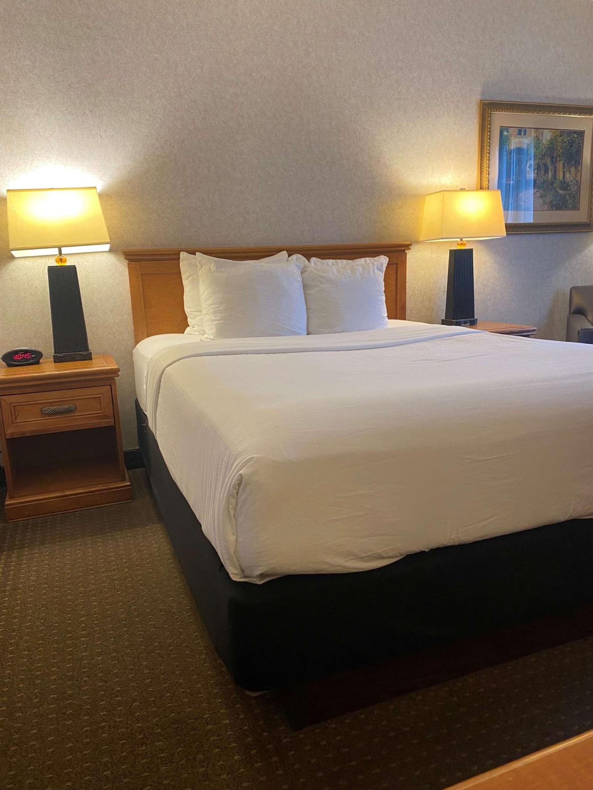 Best Western Plus Kelly Inn gallery photo in Saint Cloud, MN — image 71