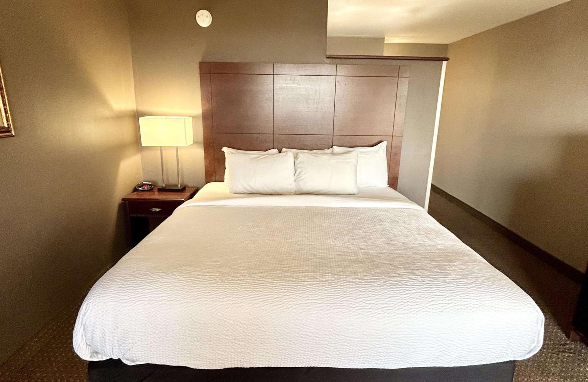 Best Western Plus Kelly Inn gallery photo in Saint Cloud, MN — image 50
