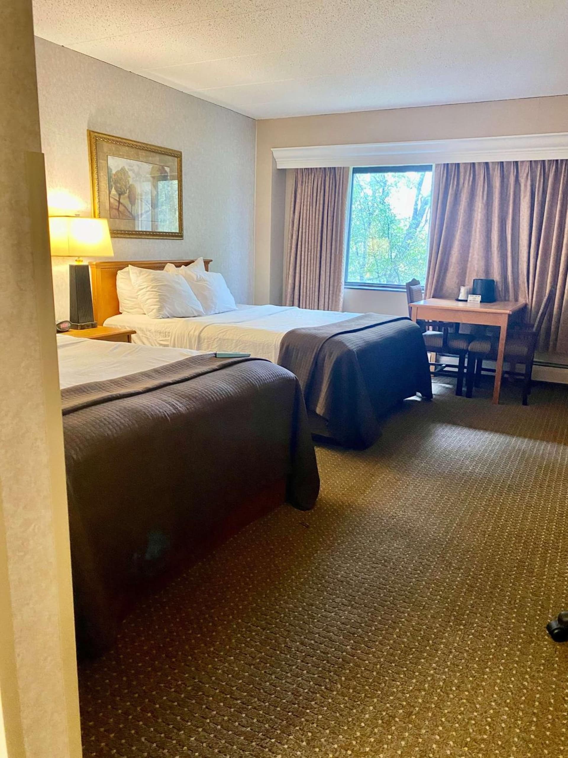Best Western Plus Kelly Inn gallery photo in Saint Cloud, MN — image 13