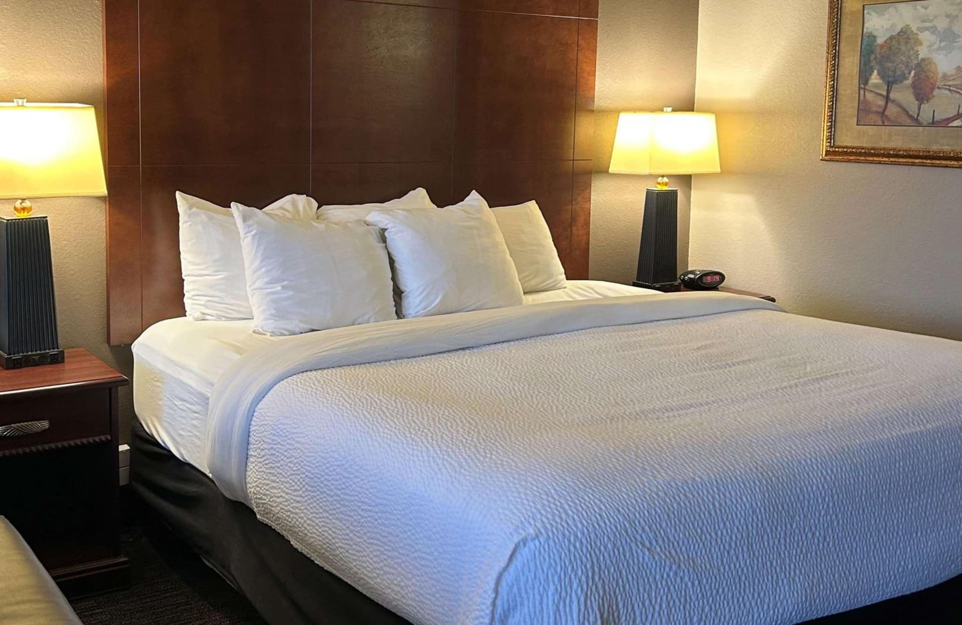 Best Western Plus Kelly Inn gallery photo in Saint Cloud, MN — image 69