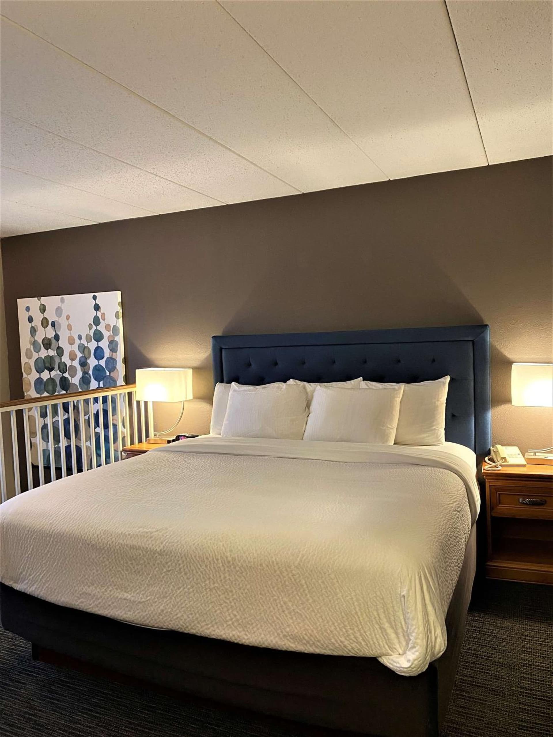 Best Western Plus Kelly Inn gallery photo in Saint Cloud, MN — image 64