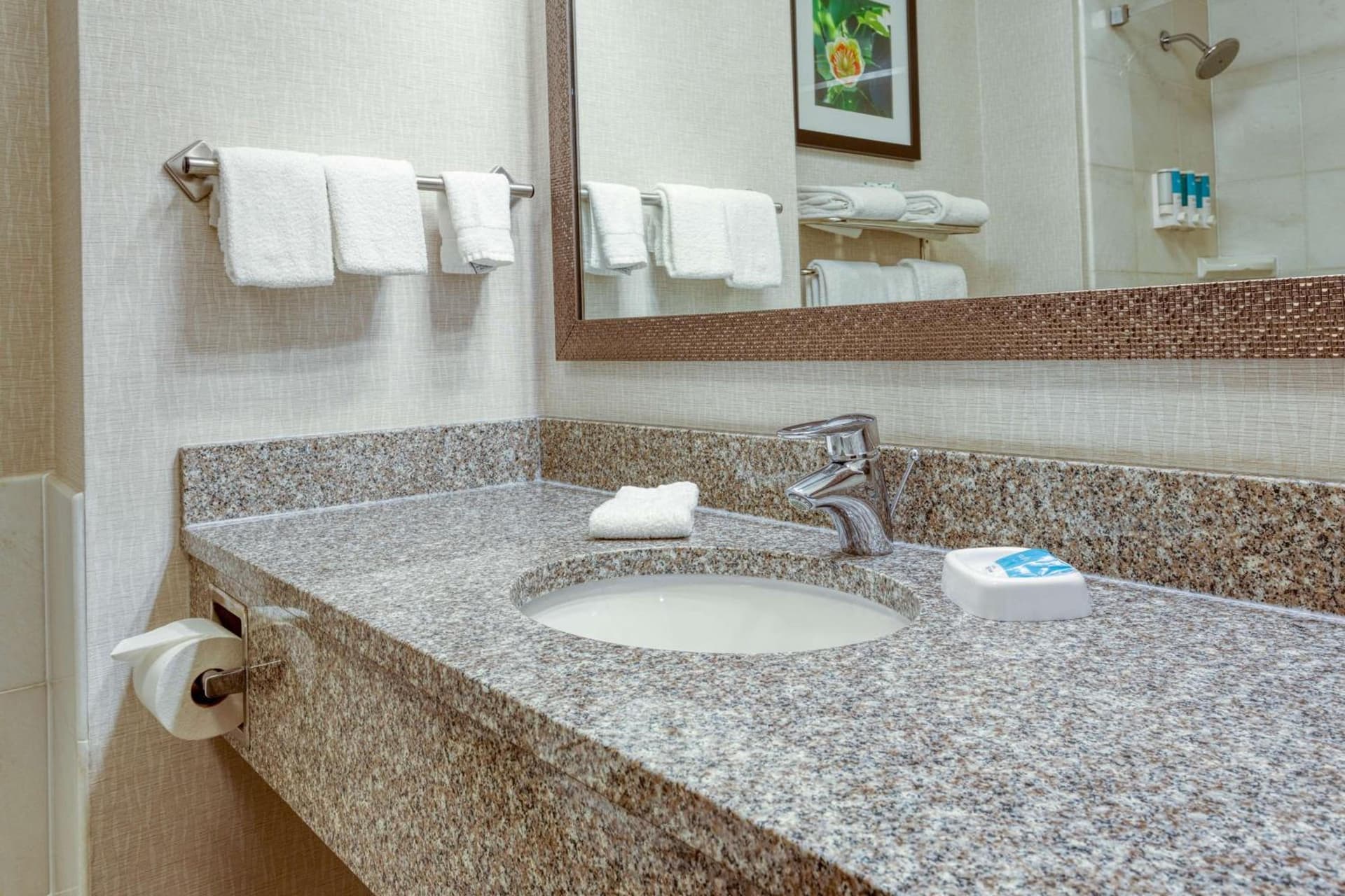 Drury Inn & Suites Indianapolis Northeast gallery photo in Indianapolis, IN — image 43