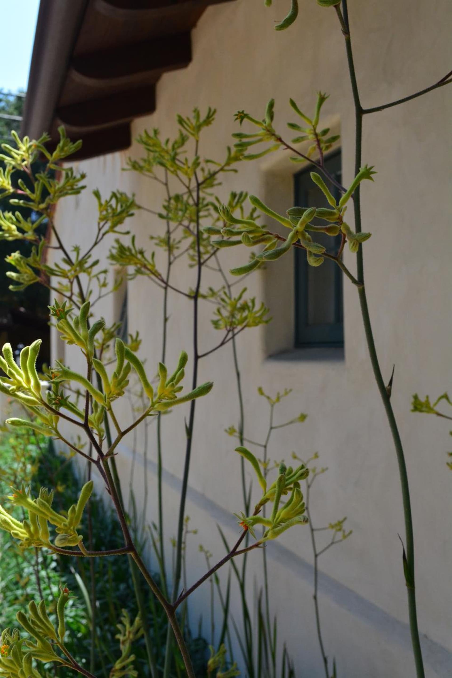 Su Nido Inn gallery photo in Ojai, CA — image 30