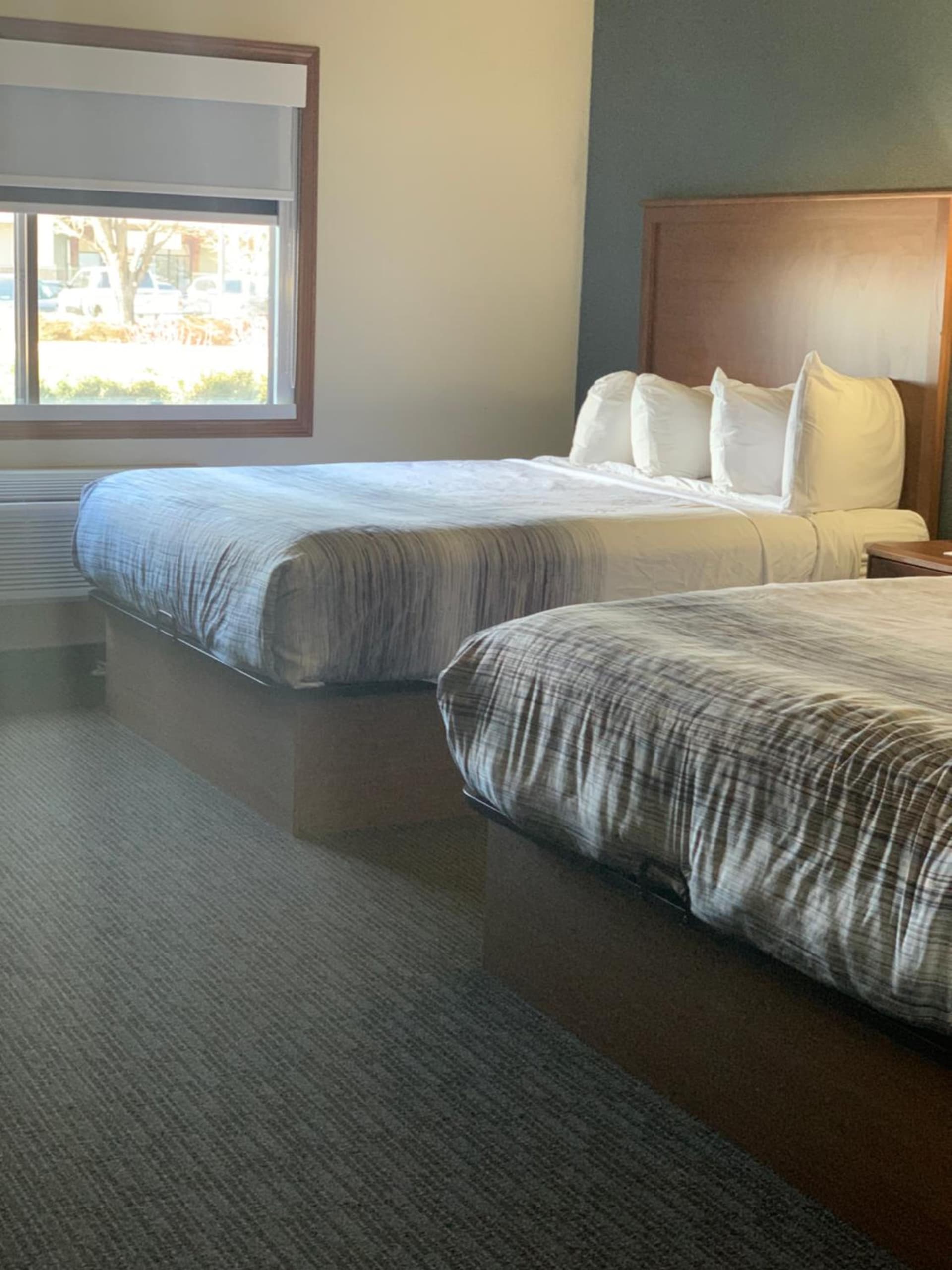 AmericInn by Wyndham Windsor Ft. Collins gallery photo in Fort Collins, CO — image 36