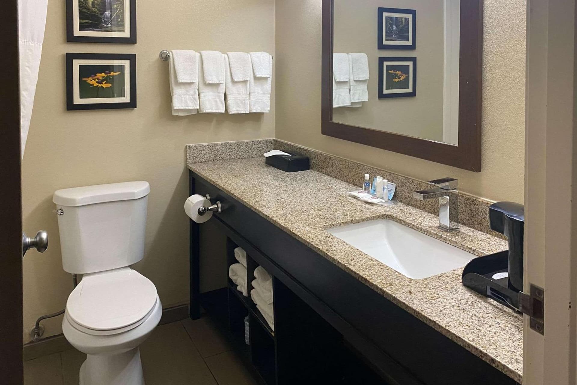 Comfort Suites Peoria I-74 gallery photo in Peoria, IL — image 16