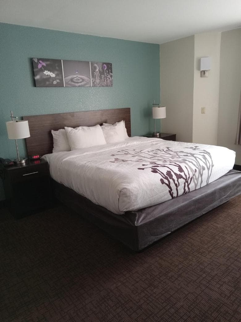 Sleep Inn & Suites Kingsport TriCities Airport gallery photo in Kingsport, TN — image 13