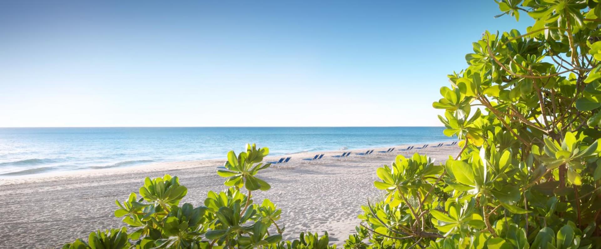 Pelican Grand Beach Resort, a Noble House Resort gallery photo in Fort Lauderdale, FL — image 25