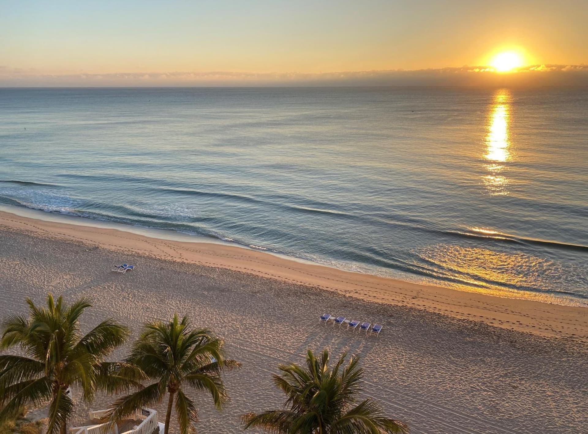 Pelican Grand Beach Resort, a Noble House Resort gallery photo in Fort Lauderdale, FL — image 34