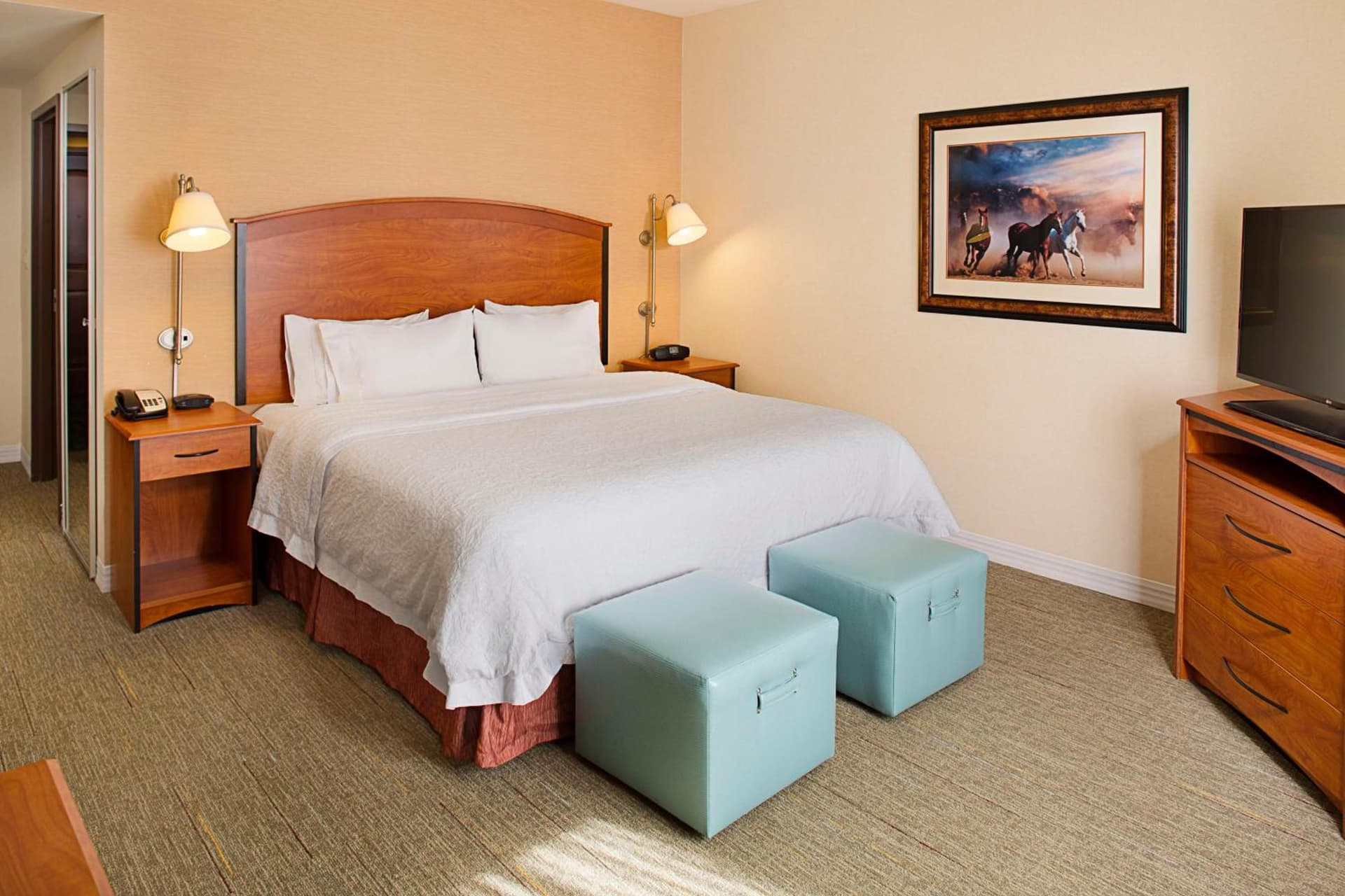 Hampton Inn & Suites - Mansfield interior in Mansfield, TX — gallery photo 2