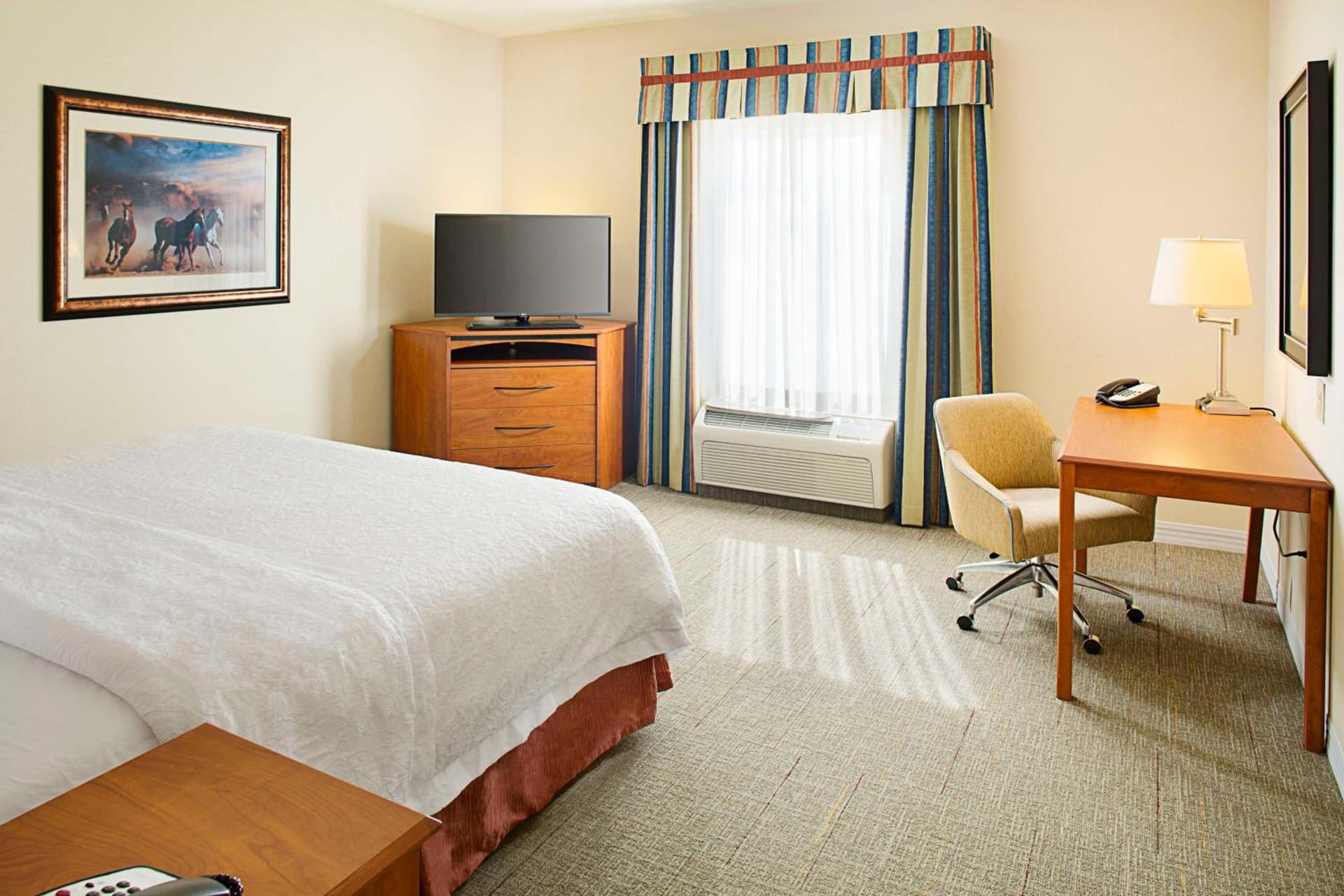 Hampton Inn & Suites - Mansfield gallery photo in Mansfield, TX — image 17