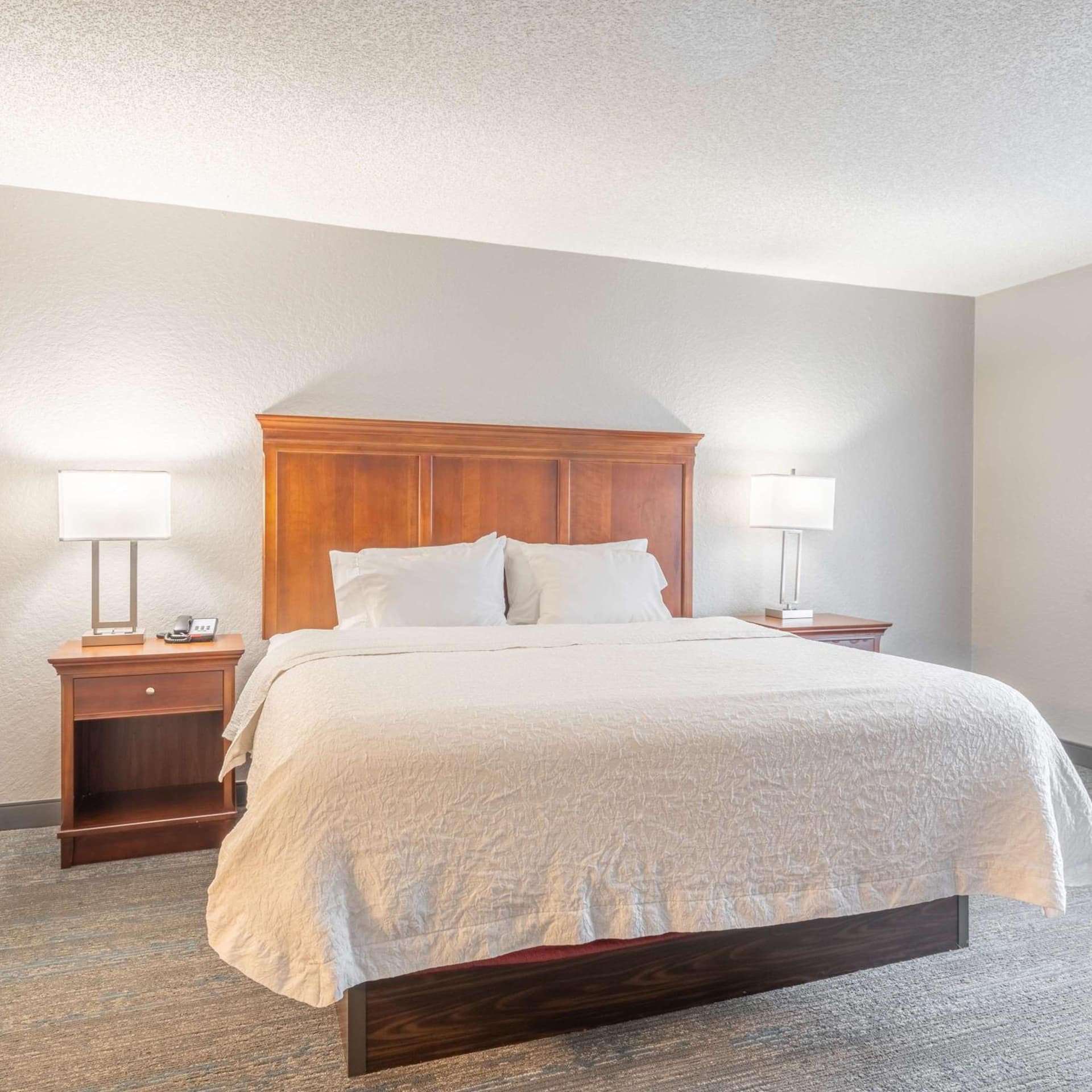 Hampton Inn Gainesville gallery photo in Gainesville, FL — image 56