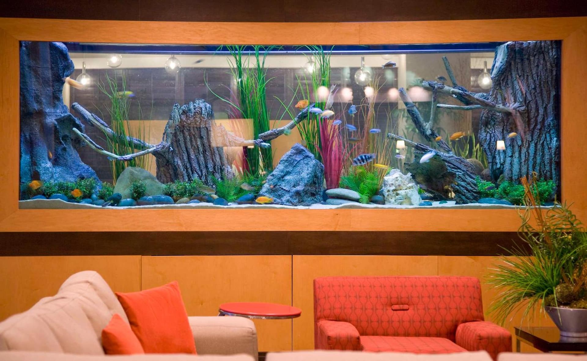 Embassy Suites by Hilton Houston-Energy Corridor gallery photo in Houston, TX — image 46