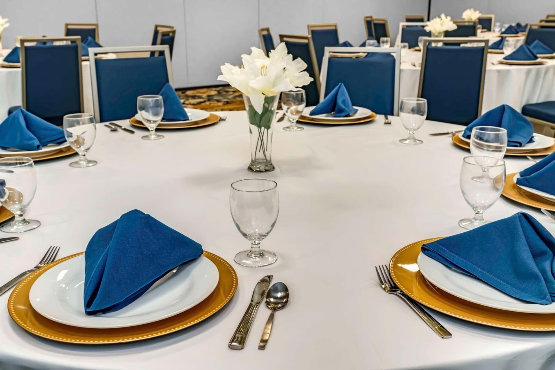 Hilton Garden Inn By Hilton Fort Wayne North gallery photo in Sunnybrook Acres, IN — image 18