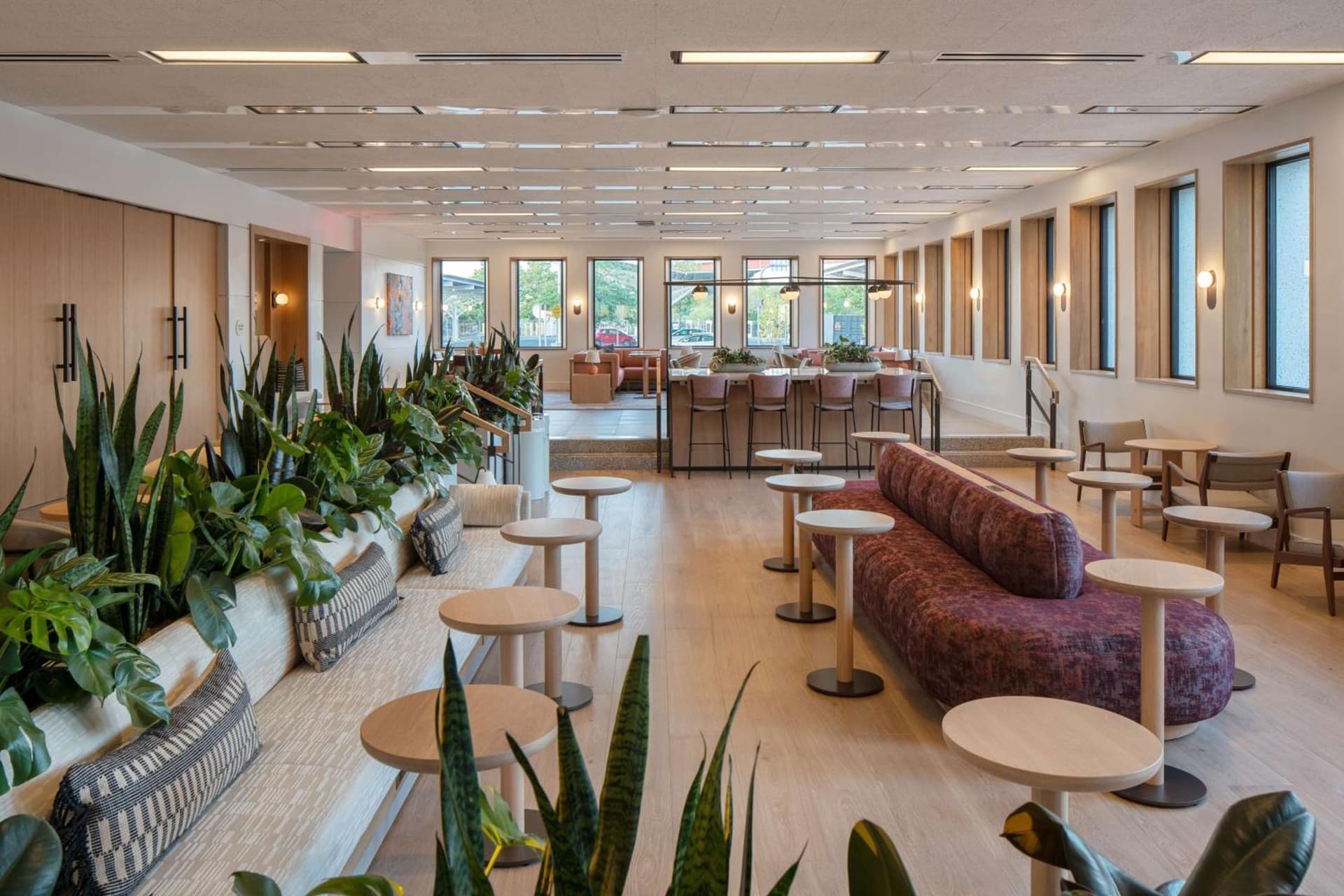 Hotel Marcel New Haven, Tapestry Collection By Hilton gallery photo in New Haven, CT — image 42