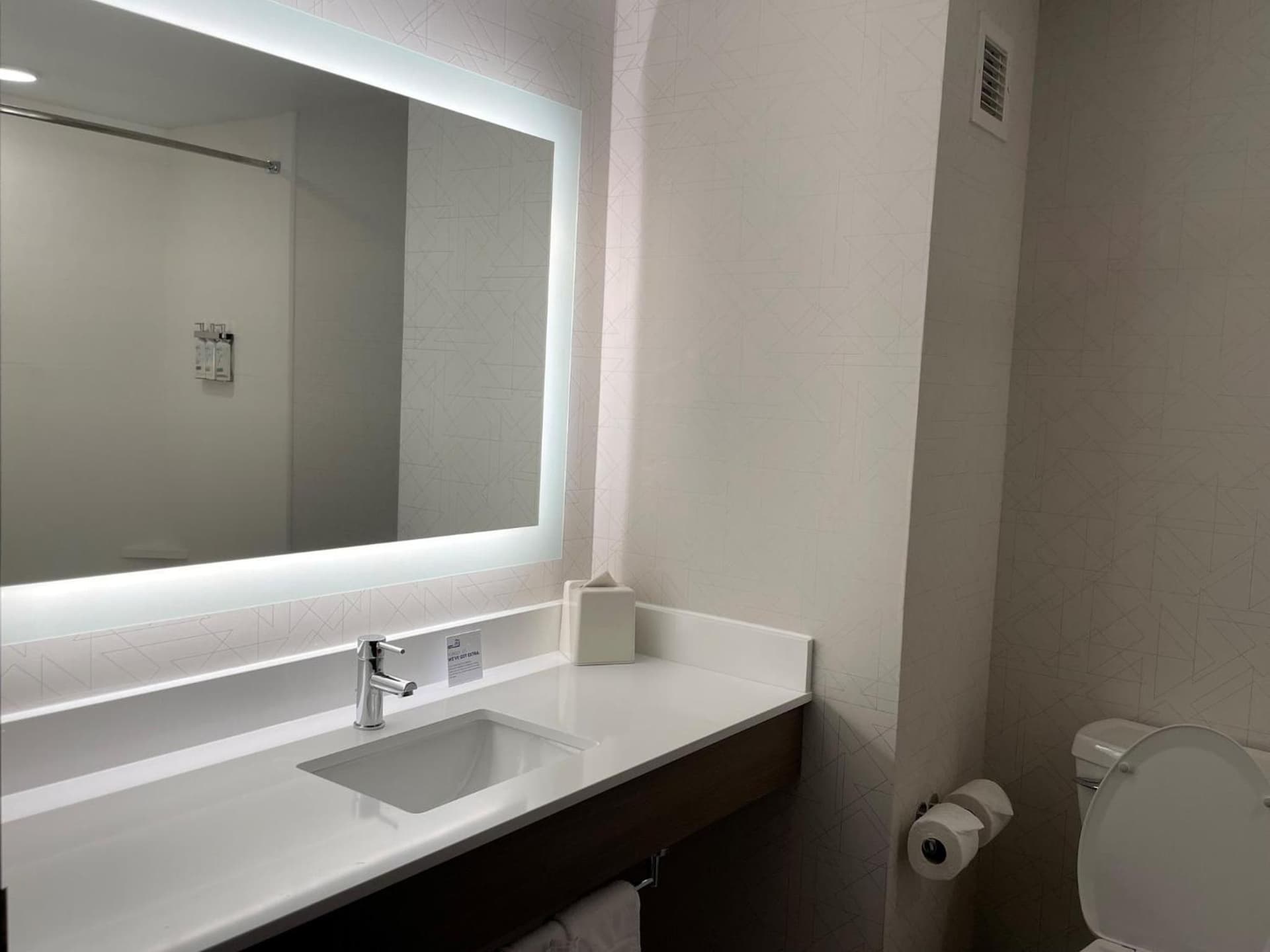 Holiday Inn Express & Suites - Tuscaloosa-University by IHG gallery photo in Tuscaloosa, AL — image 59