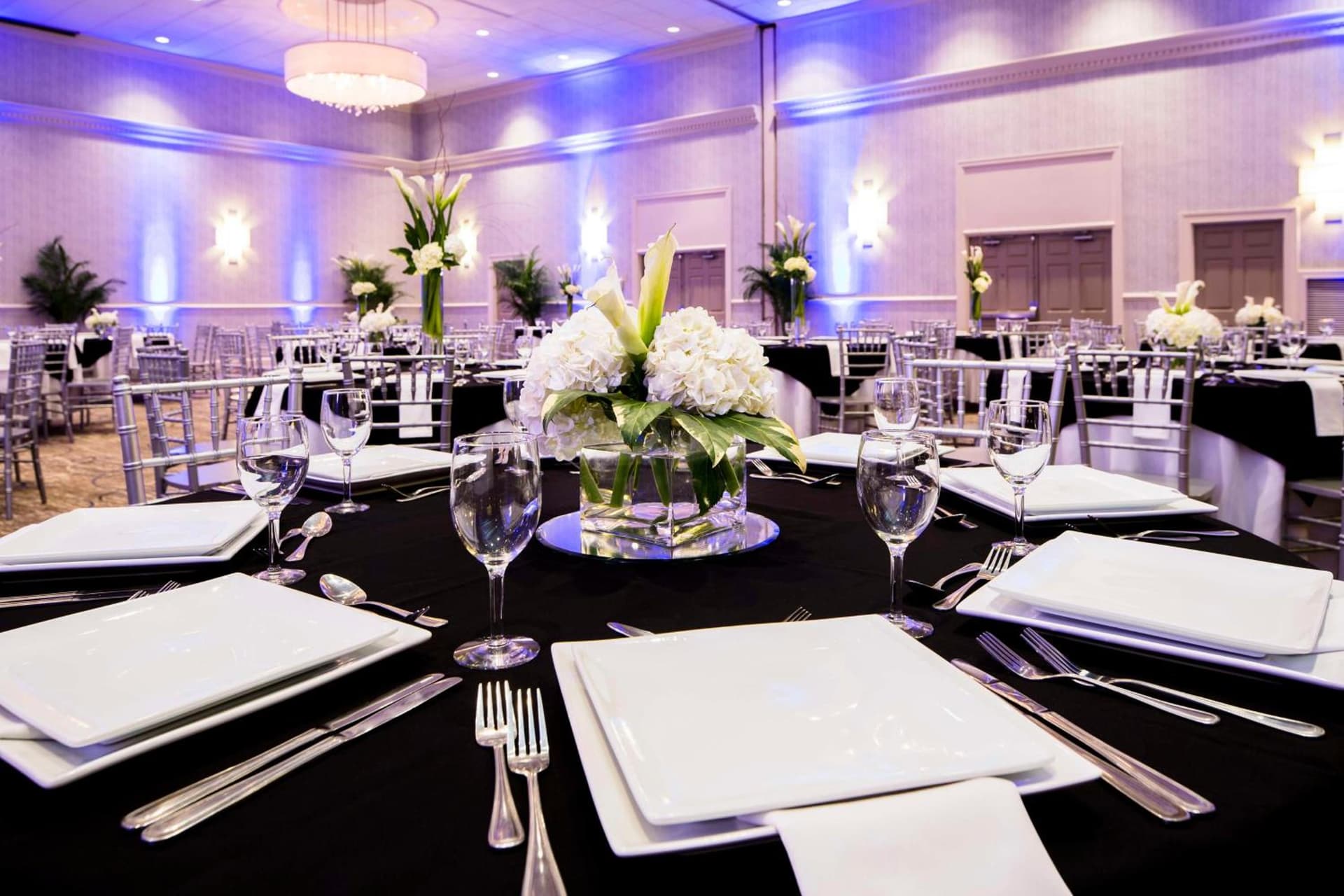 DoubleTree by Hilton Hotel Jacksonville Riverfront gallery photo in Jacksonville, FL — image 50