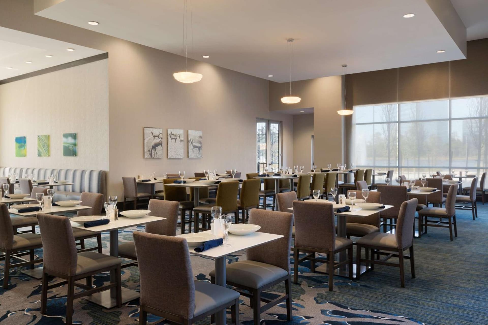 Embassy Suites by Hilton The Woodlands gallery photo in The Woodlands, TX — image 5