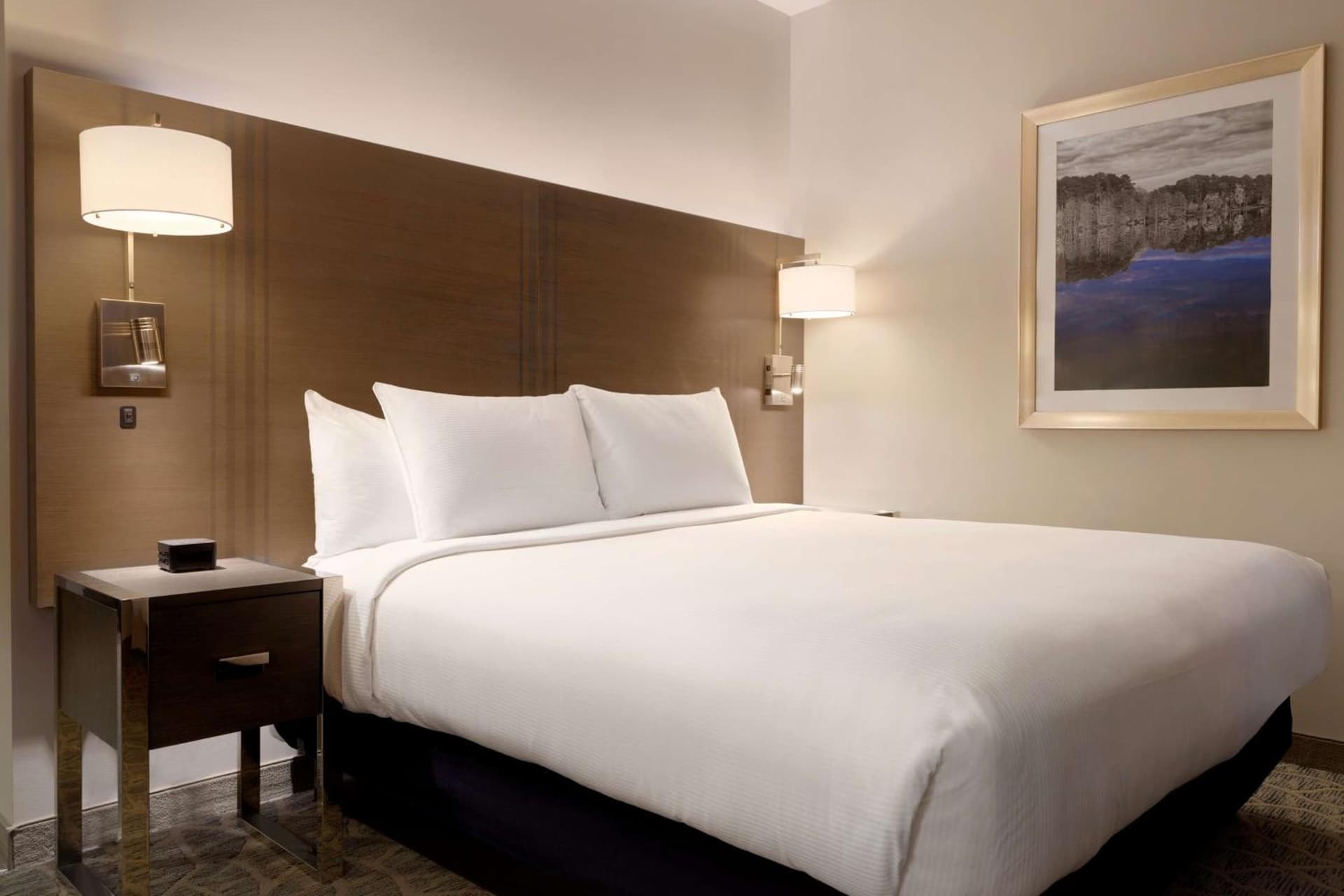 Embassy Suites by Hilton The Woodlands gallery photo in The Woodlands, TX — image 25