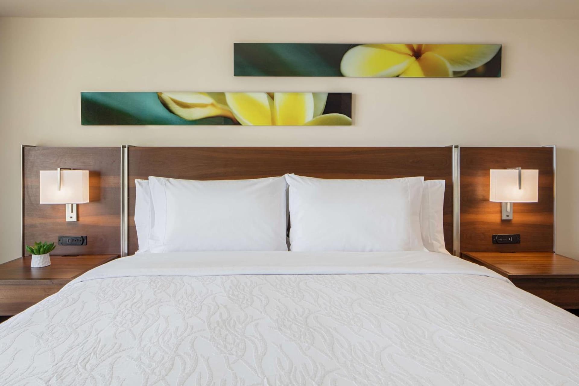 Hilton Garden Inn Waikiki Beach gallery photo in Honolulu, HI — image 47