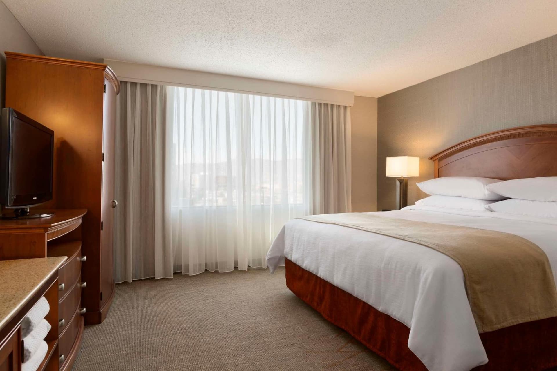 Embassy Suites by Hilton El Paso property views in El Paso, TX — gallery photo 3
