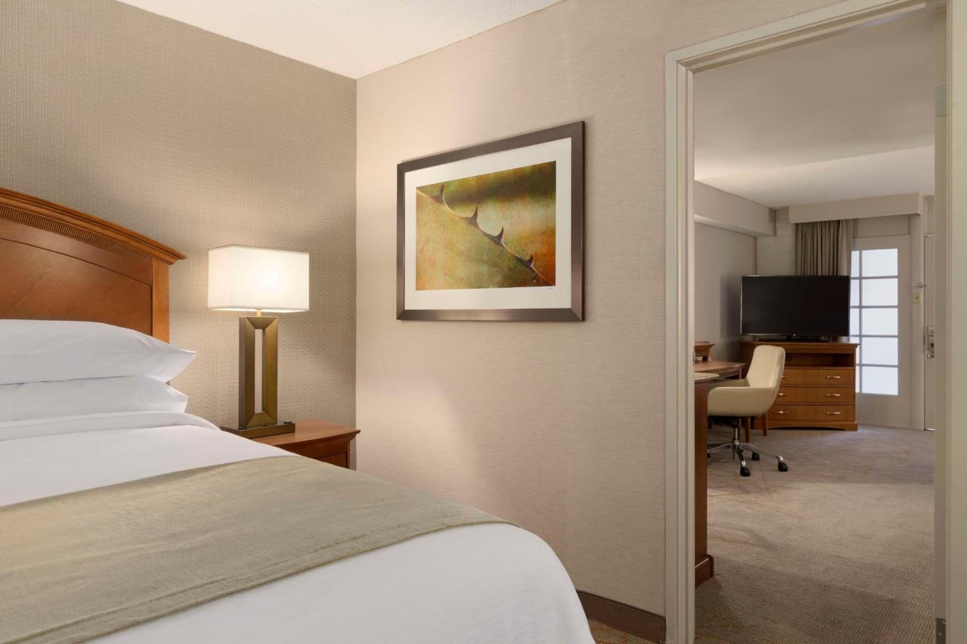 Embassy Suites by Hilton El Paso gallery photo in El Paso, TX — image 26