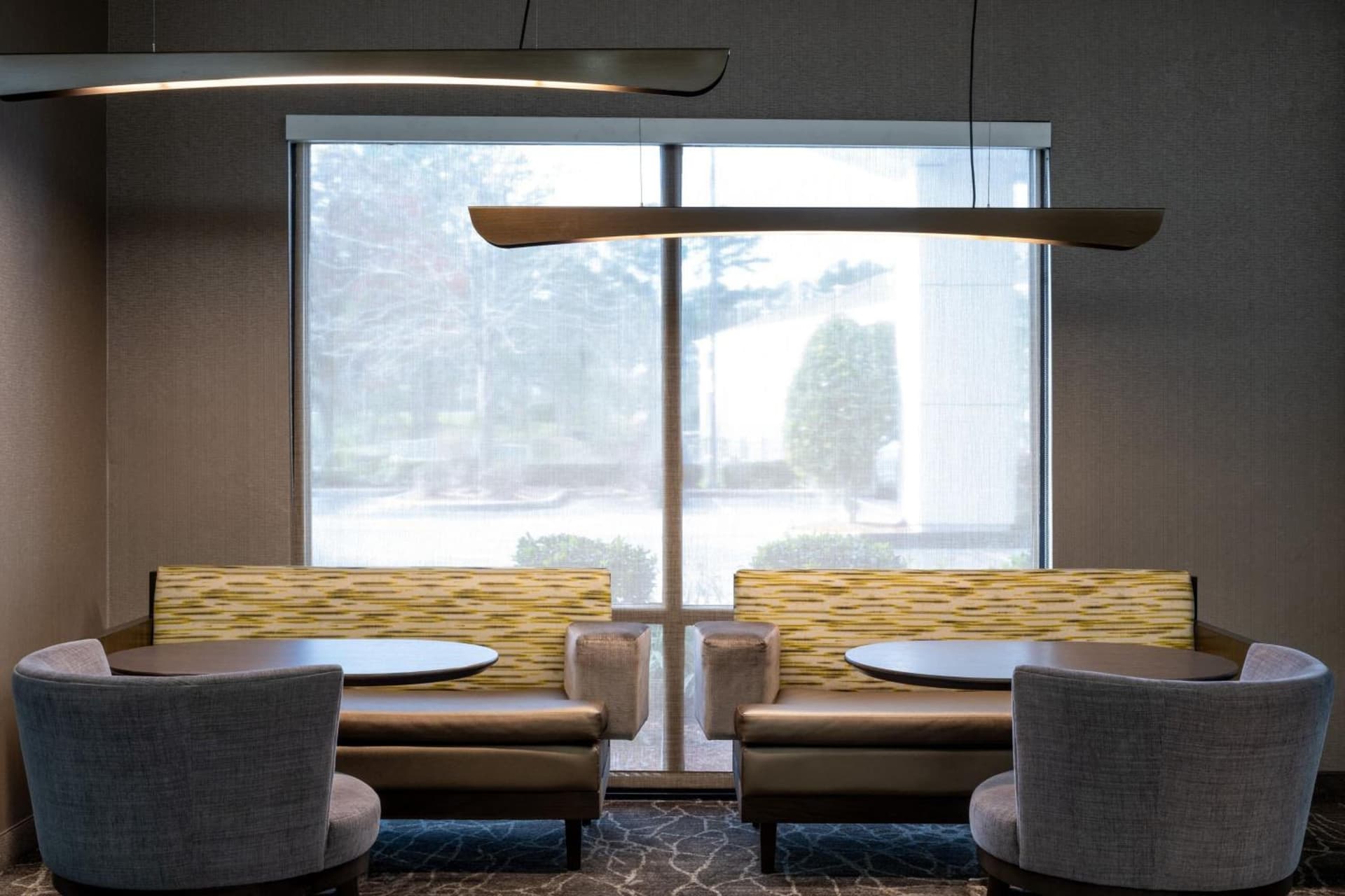 SpringHill Suites Gainesville gallery photo in Gainesville, FL — image 83
