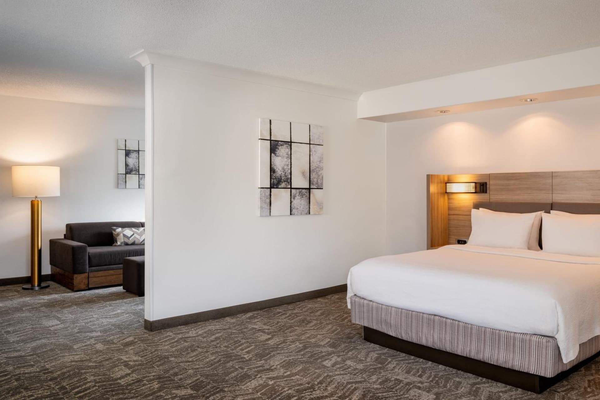 SpringHill Suites Gainesville gallery photo in Gainesville, FL — image 67